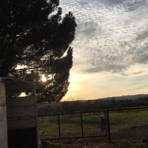 Meet your Posher, Tiana